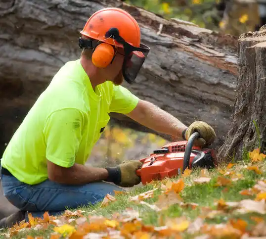 tree services Cynthiana